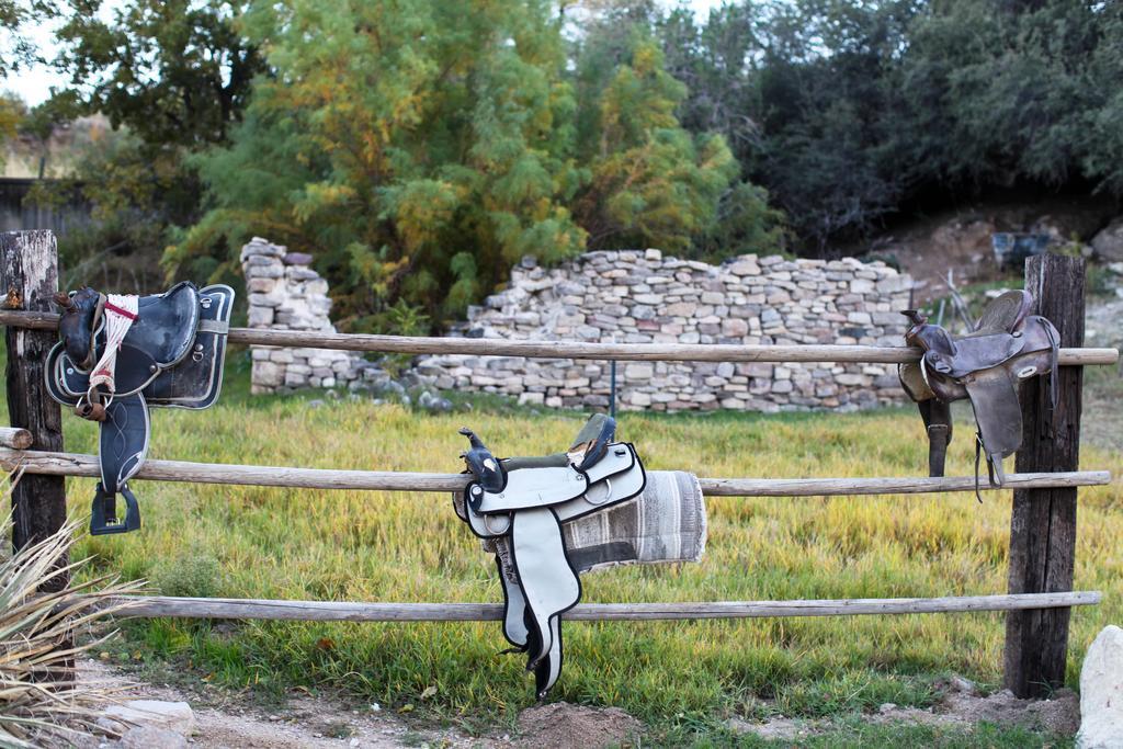 Grand Canyon Western Ranch Meadview المظهر الخارجي الصورة